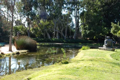 DSC_0088 (Large).JPG